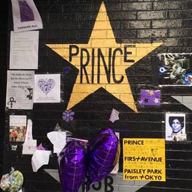 PRINCE NIGHT